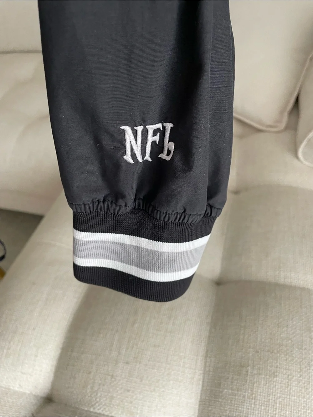 NFL raiders shield